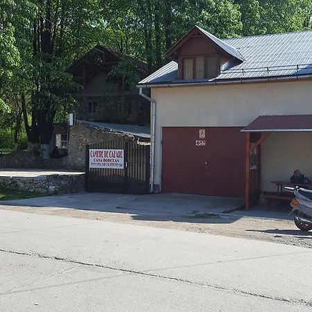 Casa Borcean Villa Szászkabánya Kültér fotó