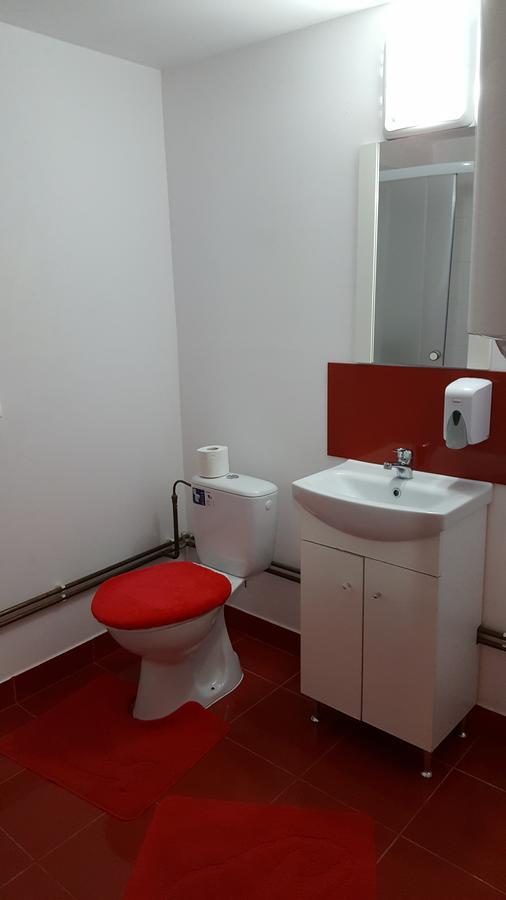 Casa Borcean Villa Szászkabánya Kültér fotó