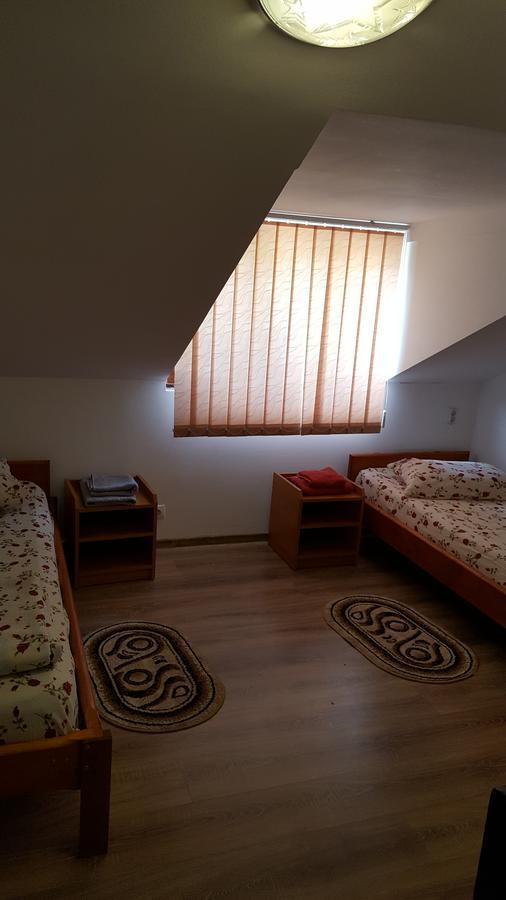 Casa Borcean Villa Szászkabánya Kültér fotó