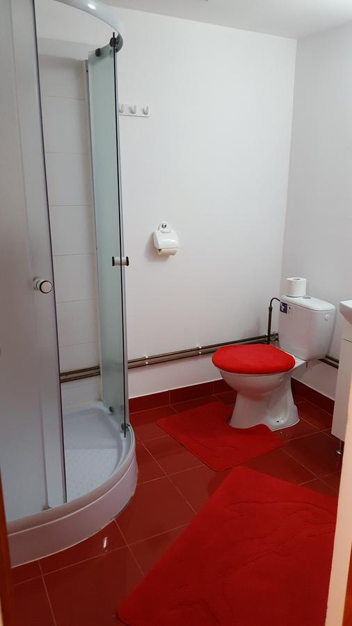 Casa Borcean Villa Szászkabánya Kültér fotó