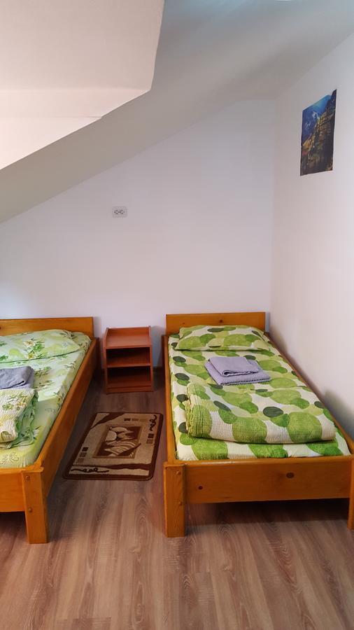 Casa Borcean Villa Szászkabánya Kültér fotó