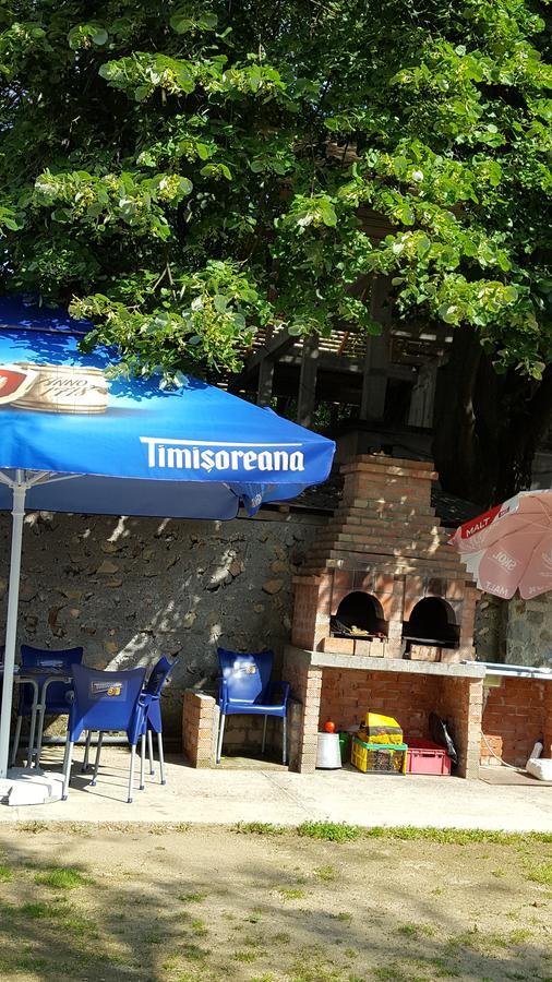 Casa Borcean Villa Szászkabánya Kültér fotó