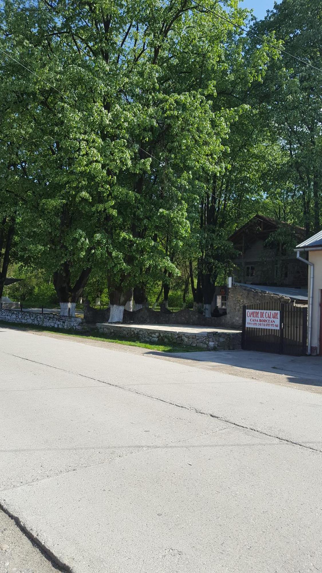 Casa Borcean Villa Szászkabánya Kültér fotó